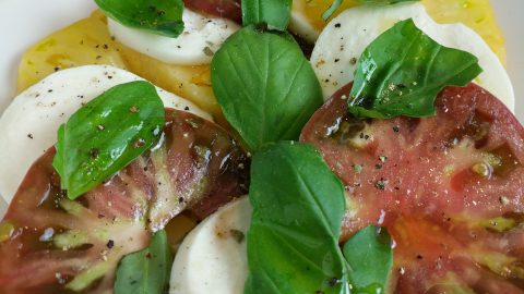 caprese salad final close up